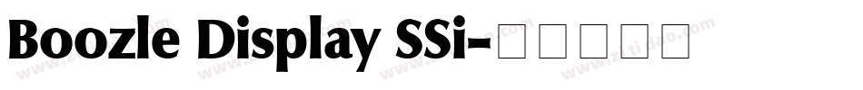 Boozle Display SSi字体转换